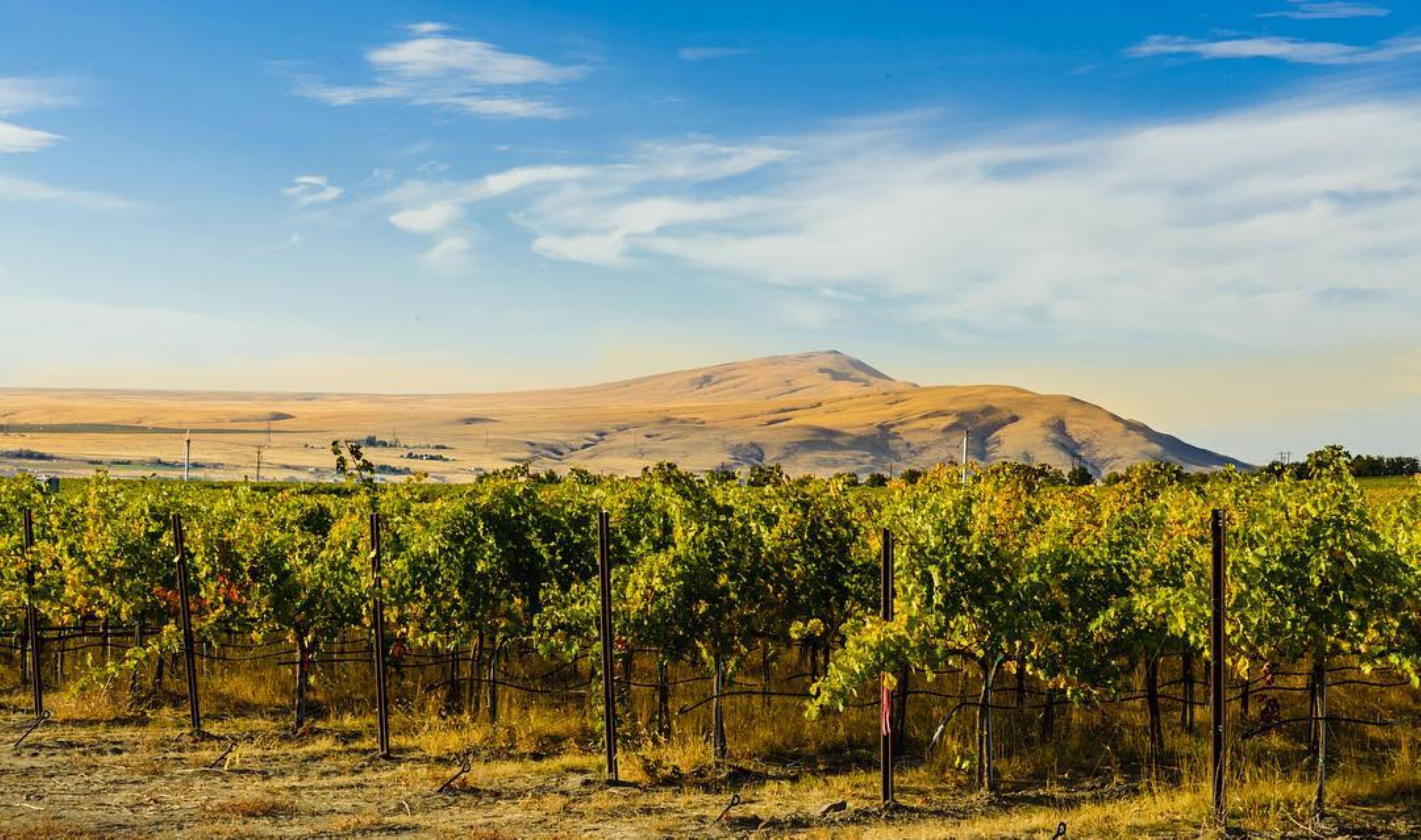 Holiday Inn Express & Suites - Union Gap - Yakima Area By Ihg Buitenkant foto